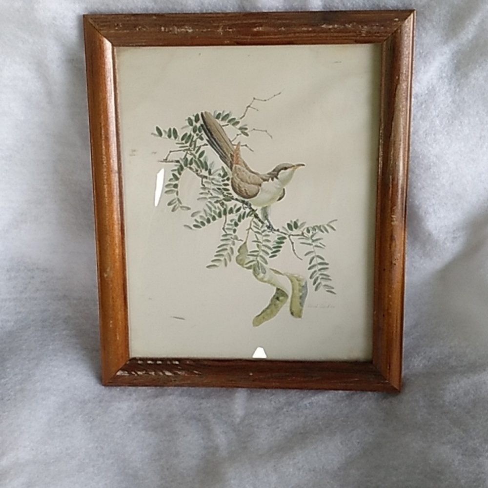 Vintage 1990s Donald Art Co wood framed bird 🐦 wall deco